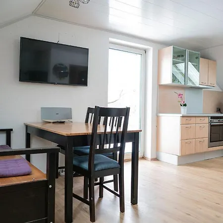 Livia Apartamento Linz