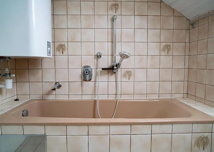 Apartment Livia Linz